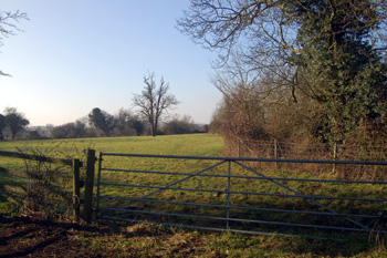 Looking from Brittens Lane towards the mill January 2011